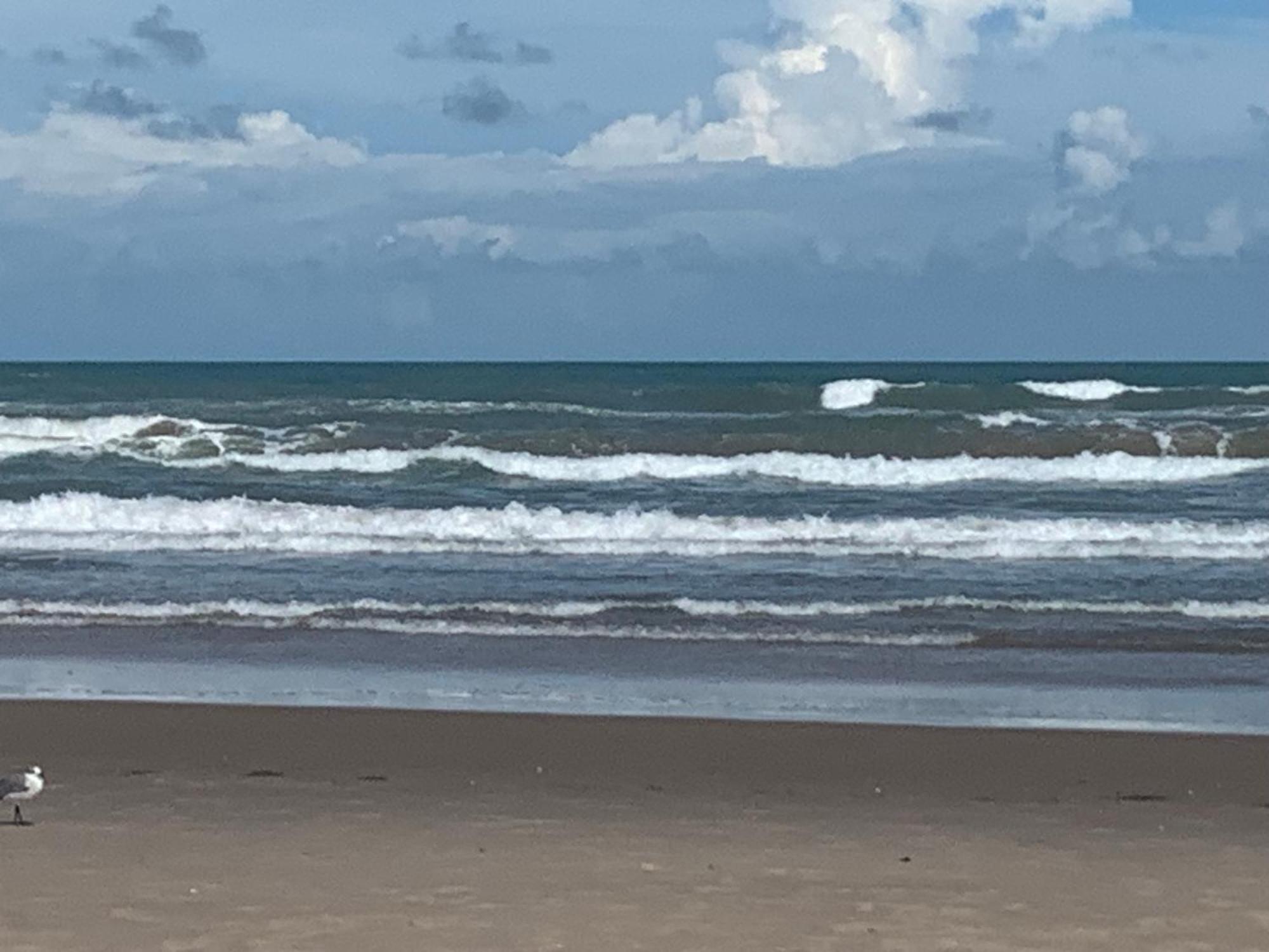 Jjs Beach Condo South Padre Island Exterior photo